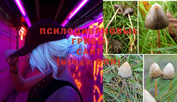 эйфоретик Корсаков
