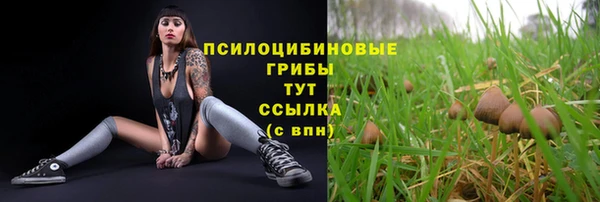 эйфоретик Коряжма