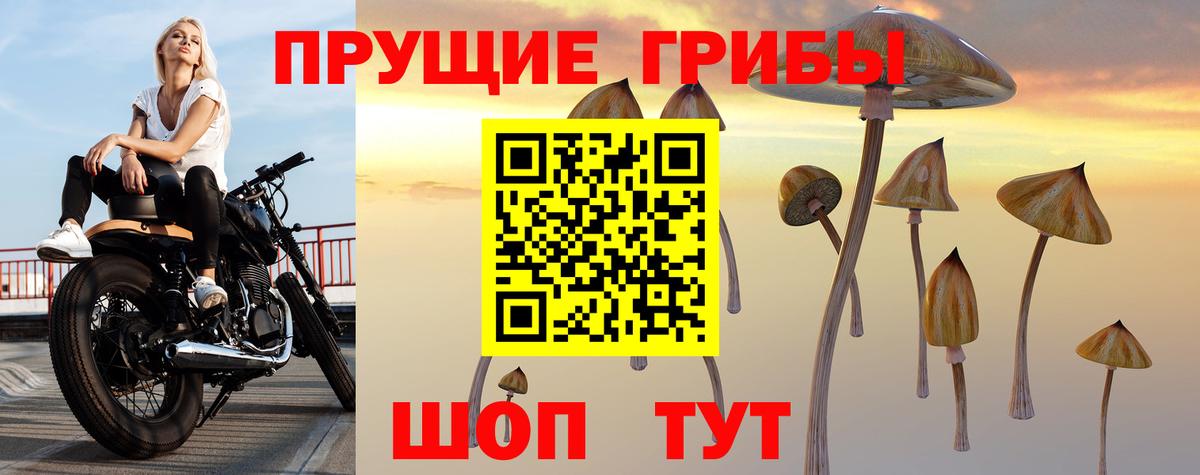 Мелеуз  Галлюциногенные грибы MAGIC MUSHROOMS  Псилоцибиновые грибы GOLDEN TEACHER  Вход с VPN 