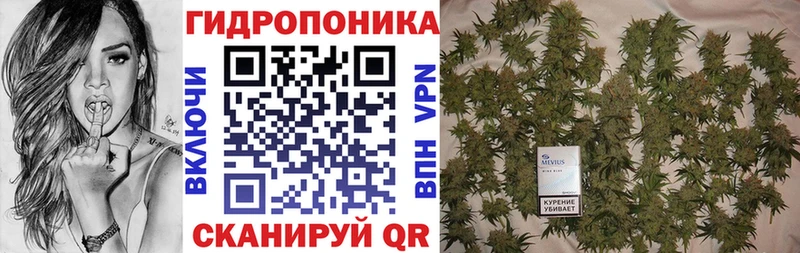 Шишки марихуана тримм  как найти наркотики  Мелеуз 